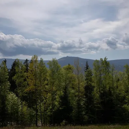 Invest Widok 800 C8 Appartement *