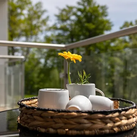 Invest Widok 800 C8 *