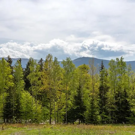 Apartament Invest Widok 800 C8 *