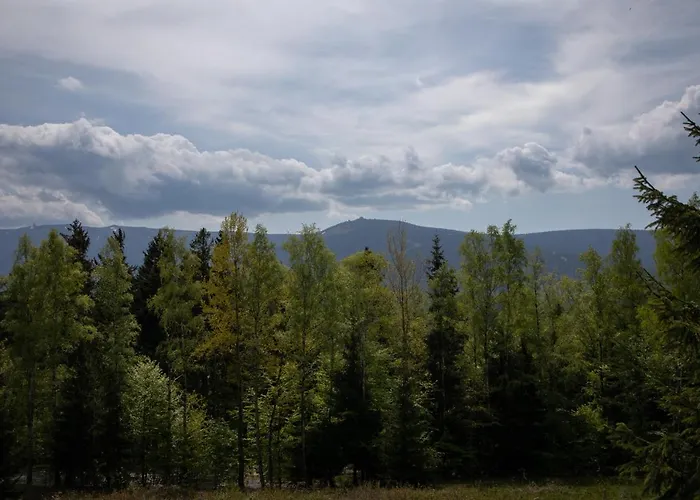 Invest Widok 800 C8 Apartment *