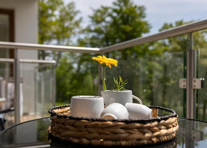 Invest Widok 800 C8 *