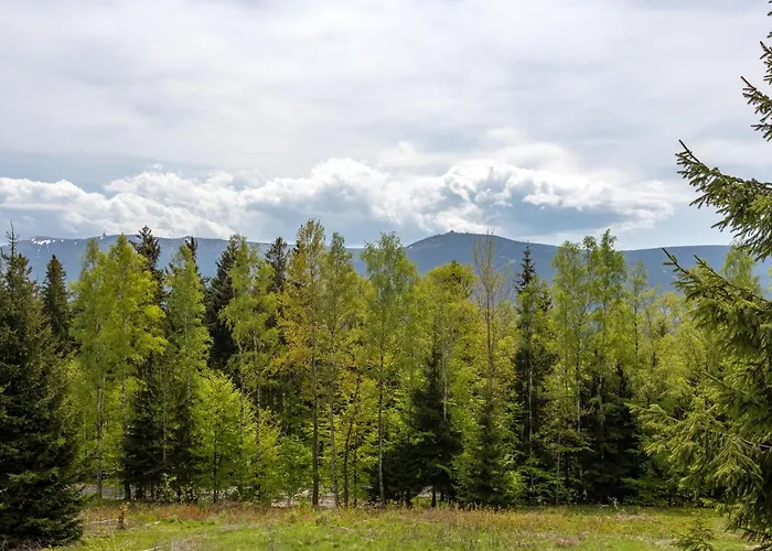 Apartament Invest Widok 800 C8 *